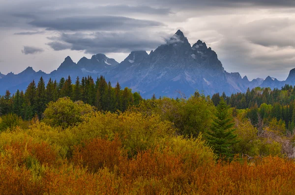 Fall in Grant Tetons National Park — Stock Photo, Image