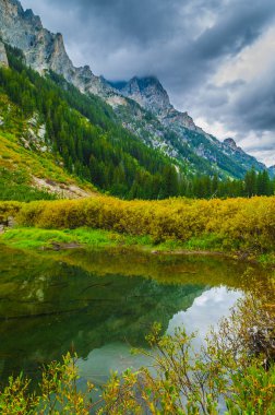 Art arda sıralı creek - grand teton Milli Parkı