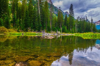 Art arda sıralı creek - grand teton Milli Parkı