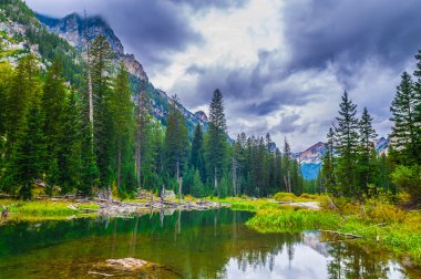 Art arda sıralı creek - grand teton Milli Parkı