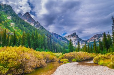 Art arda sıralı creek - grand teton Milli Parkı yakınındaki güzel sonbahar
