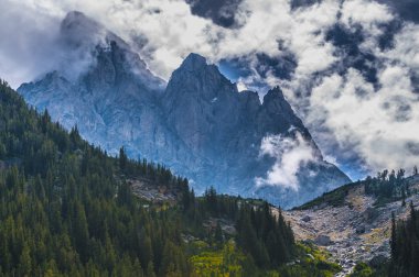Art arda sıralı duvar - grand teton Milli Parkı