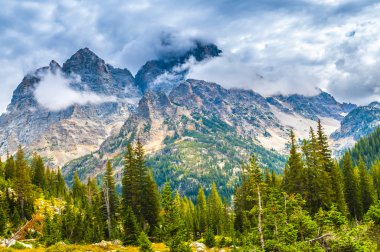 Art arda sıralı duvar - grand teton Milli Parkı