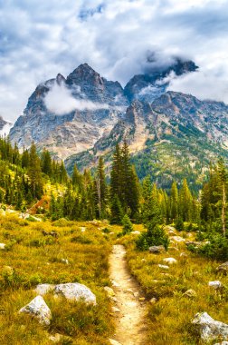 Hiking trail cascade Kanyon - grand teton Milli Parkı
