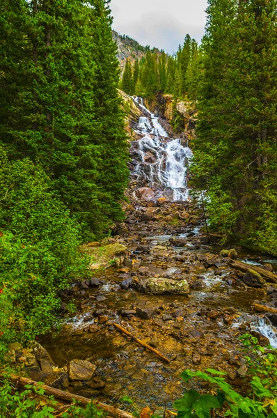 Hidden Falls Grant Teton — Fotografia de Stock