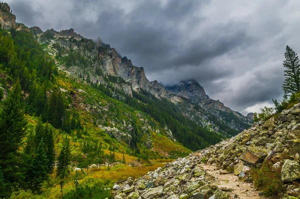 Trapsgewijs canyon - grand teton national park — Stockfoto