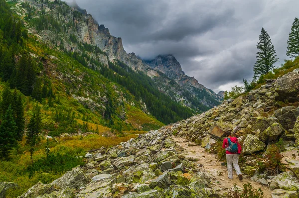 Καταρράκτης φαράγγι - εθνικό πάρκο grand teton — Φωτογραφία Αρχείου