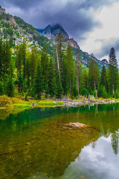 Art arda sıralı creek - grand teton Milli Parkı — Stok fotoğraf