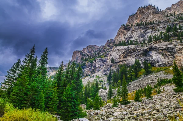 Canyon Cascata - Grand Teton National Park — Fotografia de Stock