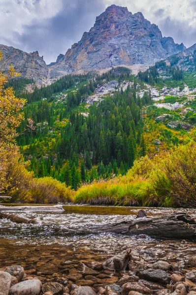 Mooie herfst in de buurt van trapsgewijze creek - grand teton national park — Stockfoto