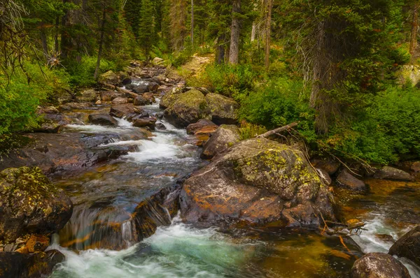 Kaskada wielkiego potoku tetons — Zdjęcie stockowe