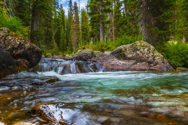 Kaskada wielkiego potoku tetons — Zdjęcie stockowe