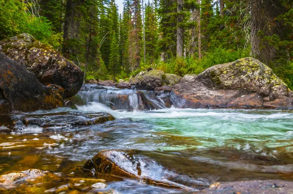 Kaskad creek grand tetons — Stockfoto