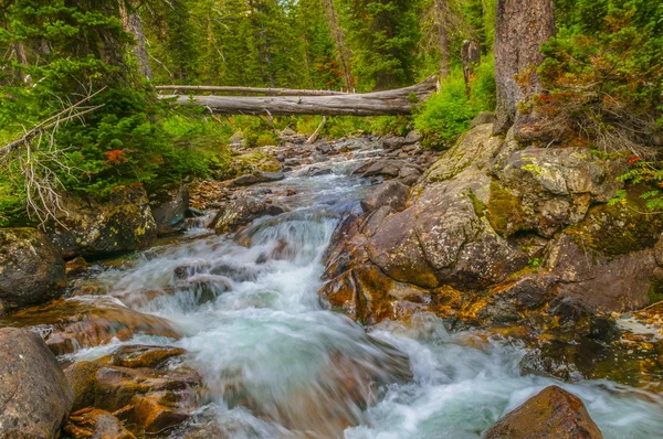 Grand Tetons du ruisseau Cascade — Photo