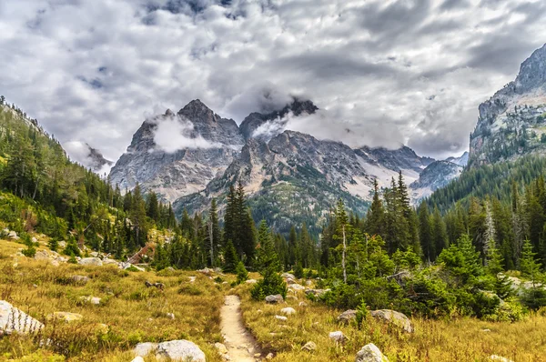 Hiking trail cascade Kanyon - grand teton Milli Parkı