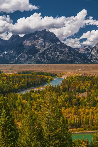 Blick auf den Schlangenfluss - Grand Teton Nationalpark — Stockfoto