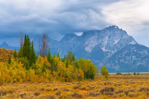 Spadek tetons — Zdjęcie stockowe