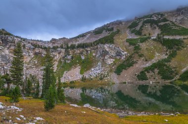 Holly lake boya fırçası Kanyonu