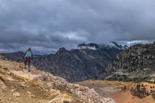 Кисть розділити Гранд tetons — стокове фото