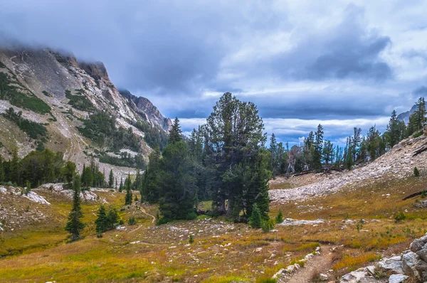 Penseel canyon grand Tetons boven u uit — Stockfoto