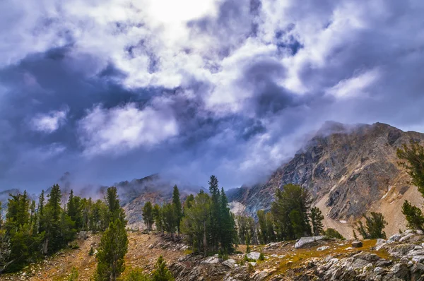 Boya fırçası Kanyon grand tetons — Stok fotoğraf