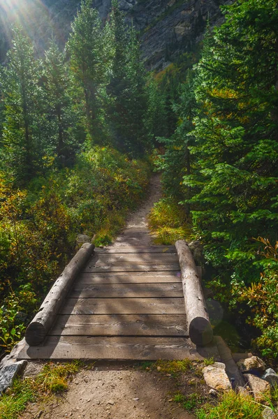 Footbridge on String Lake Trail — Stock Photo, Image