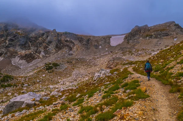 Kadın hiker üst boya fırçası canyon hiking — Stok fotoğraf