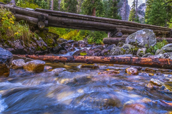 Footbridge on String Lake Trail — Stock Photo, Image