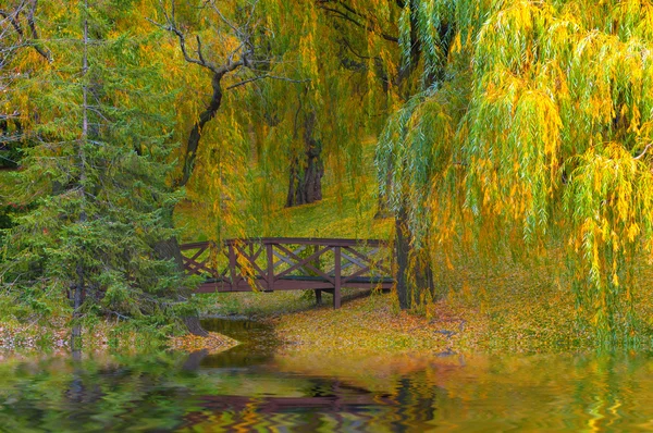 Herbstbrücke Stockbild