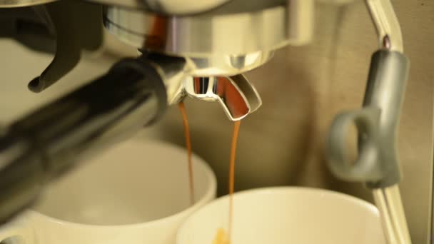 Dubbele espresso extractie — Stockvideo