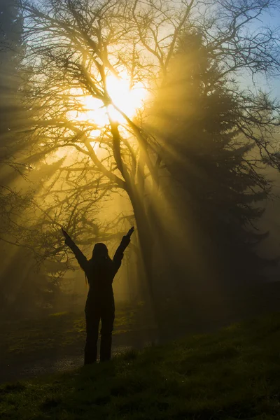 Girl in the rays of light — Stock Photo, Image