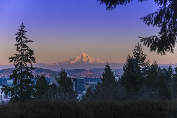 Mount Hood ao pôr do sol — Fotografia de Stock