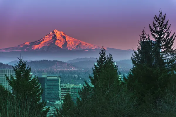 Mount hood v západu slunce — Stock fotografie