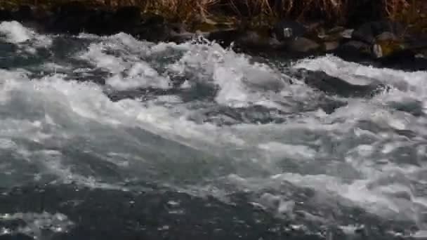 Alta def panela lenta ao longo do rio de água branca — Vídeo de Stock