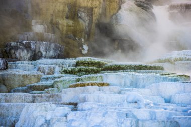Yellowstone kış manzarası
