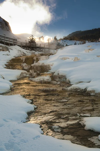 Yellowstone winterlandschap — Stockfoto