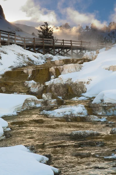 Yellowstone зимовий пейзаж — стокове фото