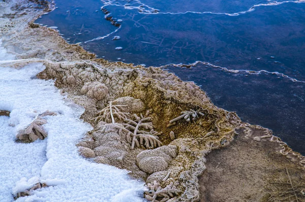 Patrón de bacterias - Yellowstone en invierno — Foto de Stock