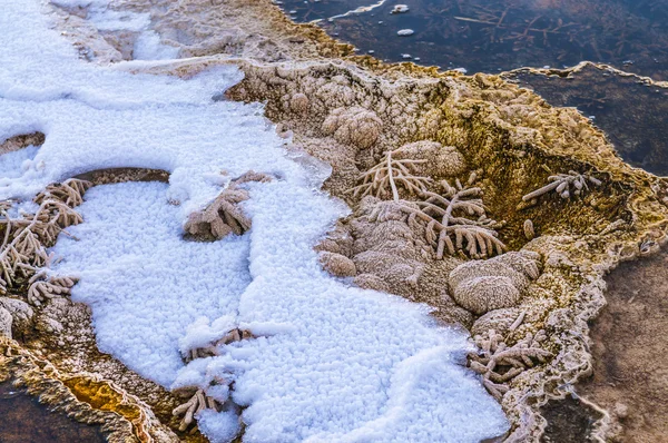 Bakterier-mönster - yellowstone på vintern — Stockfoto