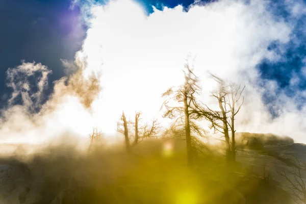 Yellowstonský Zimní krajina — Stock fotografie