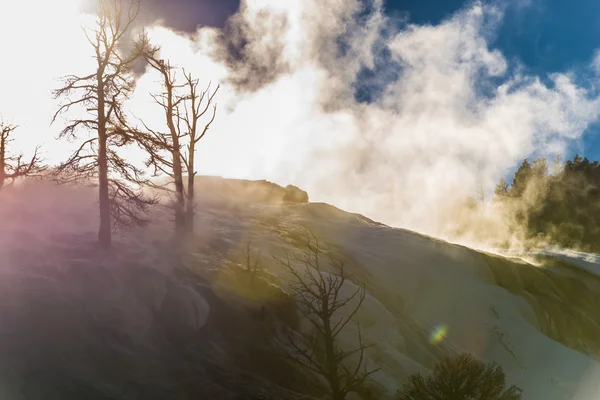 Paesaggio invernale di Yellowstone — Foto Stock