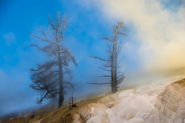 Yellowstonský Zimní krajina — Stock fotografie