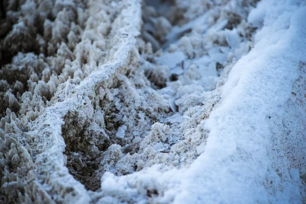 Bacteriën patroon - yellowstone in de winter — Stockfoto