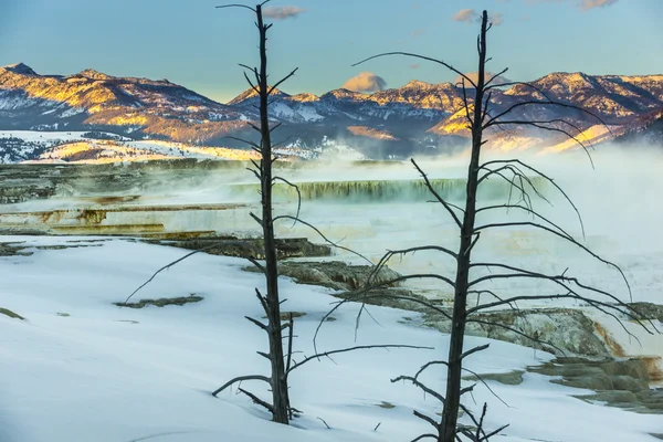 Yellowstone winterlandschap — Stockfoto
