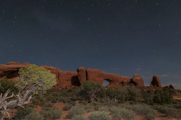 Windows Arches National Park at Night — Stock Photo, Image