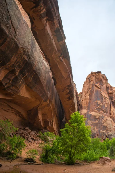 Негр законопроект trail moab Юта — стокове фото
