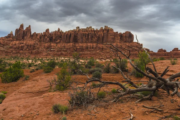 Toren boog trail — Stockfoto