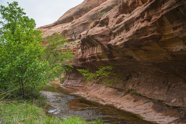 Projet de loi nègre trail moab utah — Foto de Stock