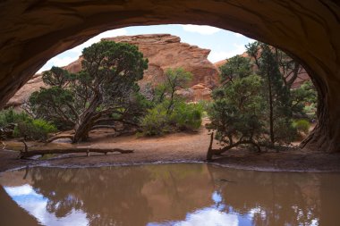 Navajo Arch