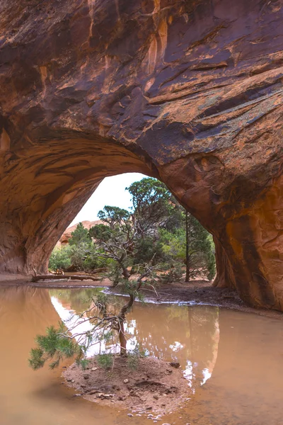 Arc Navajo — Photo